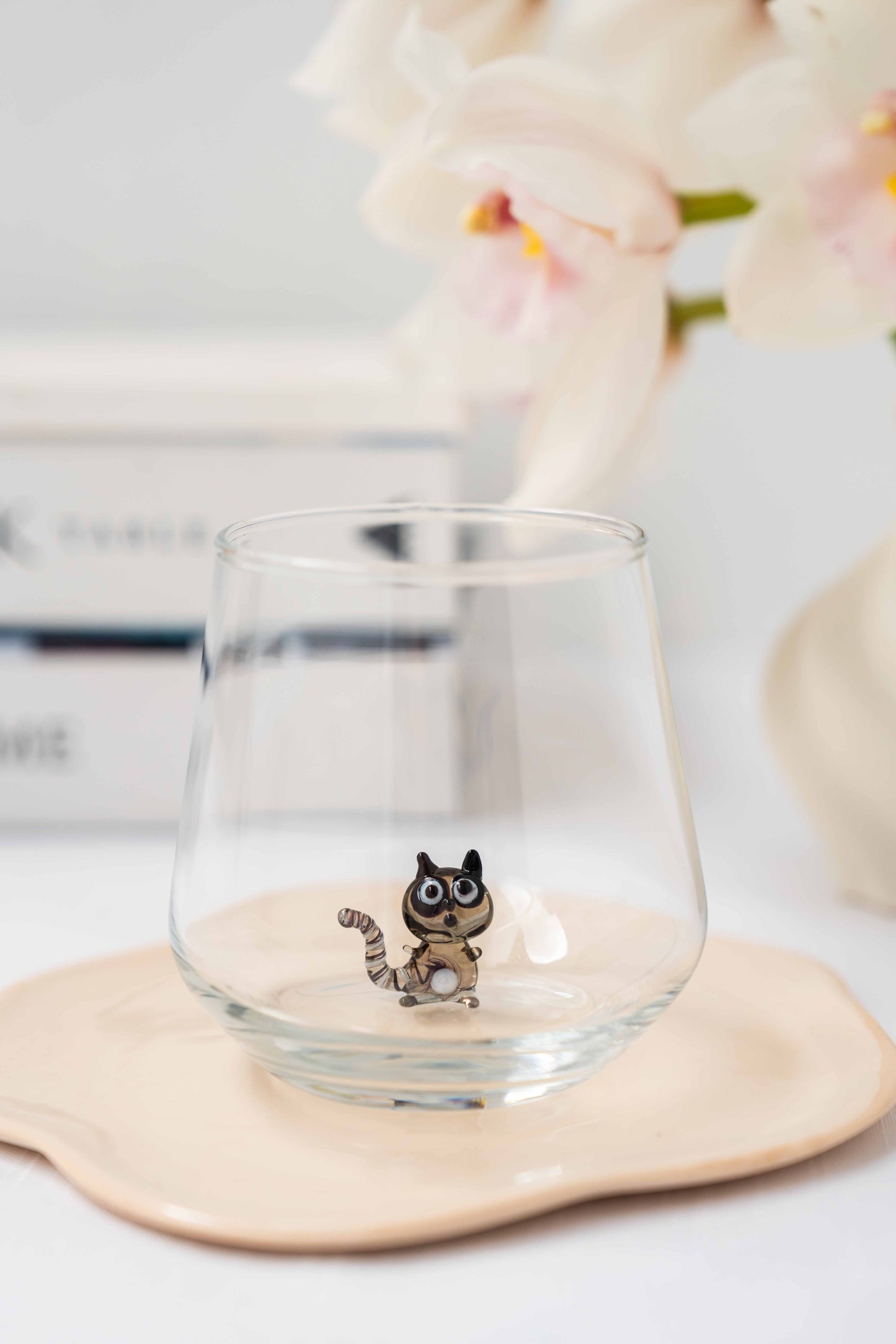 Racoon Glass