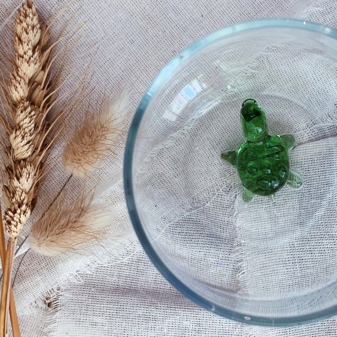 Turtle Glass